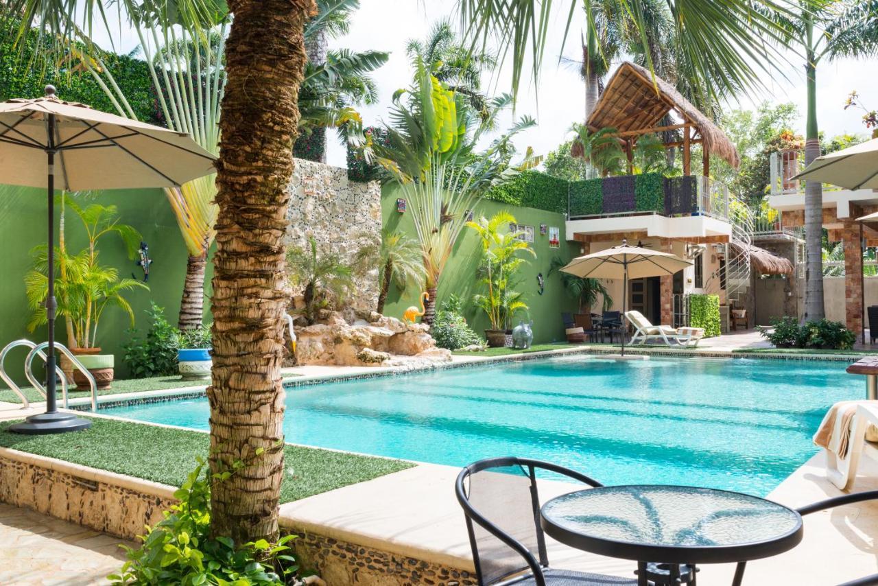 Alamos Inn Hotel Con Jacuzzi Y Piscina Cancún Eksteriør billede