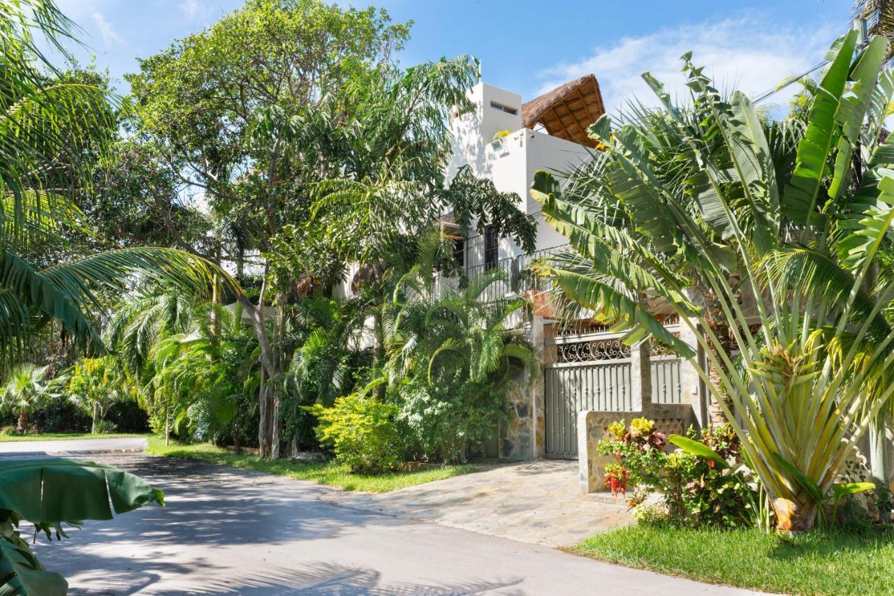 Alamos Inn Hotel Con Jacuzzi Y Piscina Cancún Eksteriør billede